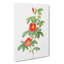 Single May Rose In Pink by Pierre-Joseph Redoute - Wrapped Canvas Painting-55318391