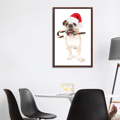 Christmas Bulldog Eating Candy Cane by Susan Richey - Gallery-Wrapped Canvas Giclée on Canvas