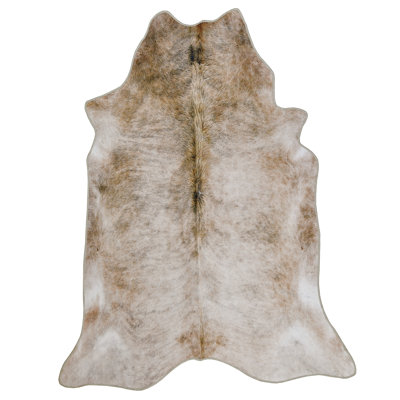 Shiffer Indoor Rug