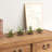 4-Piece Decorative Glass Décor Terrariums Candle Holders