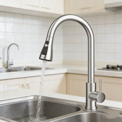 Brayden Studio Pull Out Kitchen Faucet