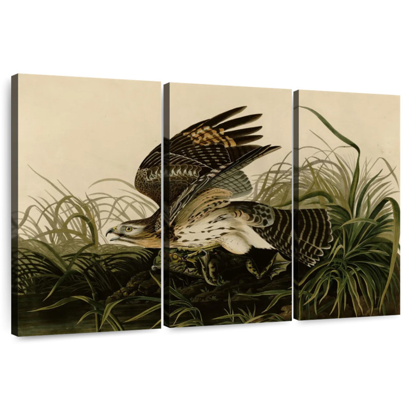 Brampt Winter Hawk, 28" H x 45" W