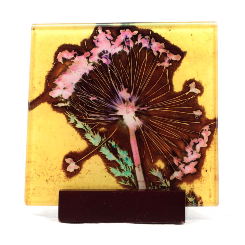 Guynn Glass Square 1 Piece Coaster, Yellow
