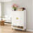Spacious Shoe Storage Organizer,Modern Style Shoe Cabinet-1021529215