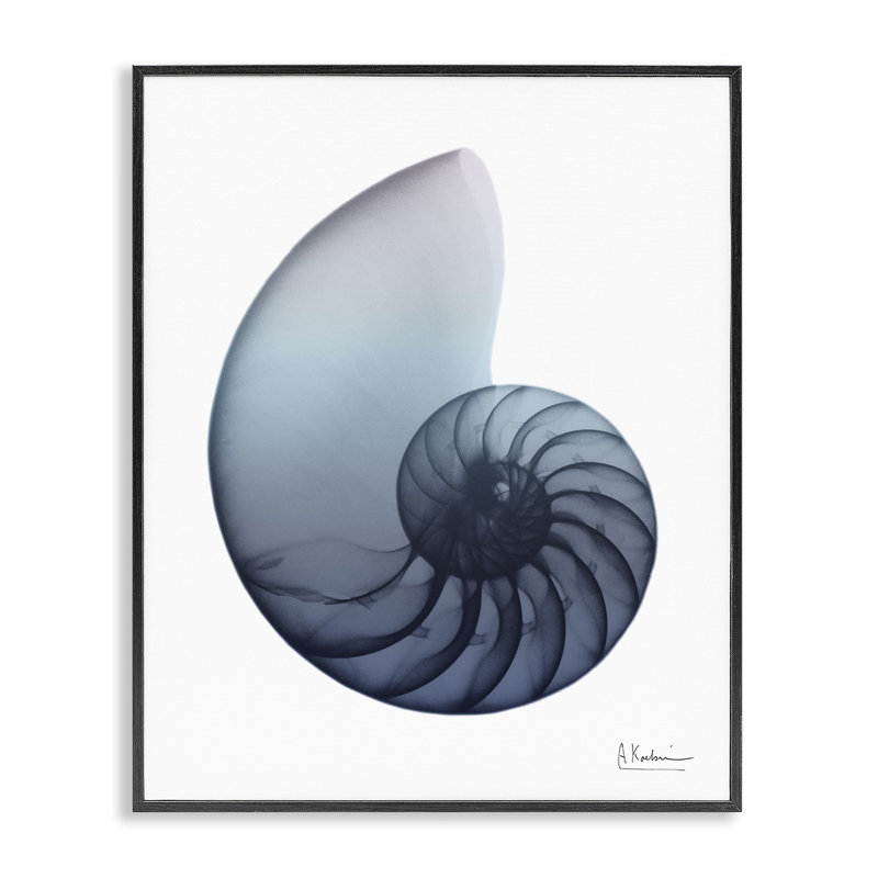 Highland Dunes, Nautilus contemporain, art de la giclée encadrée par Albert Koetsier, Giclée encadrée noir minuit
