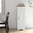 Single Barn Door Accent Cabinet For Living Room, Floor Pantry Cabinet
