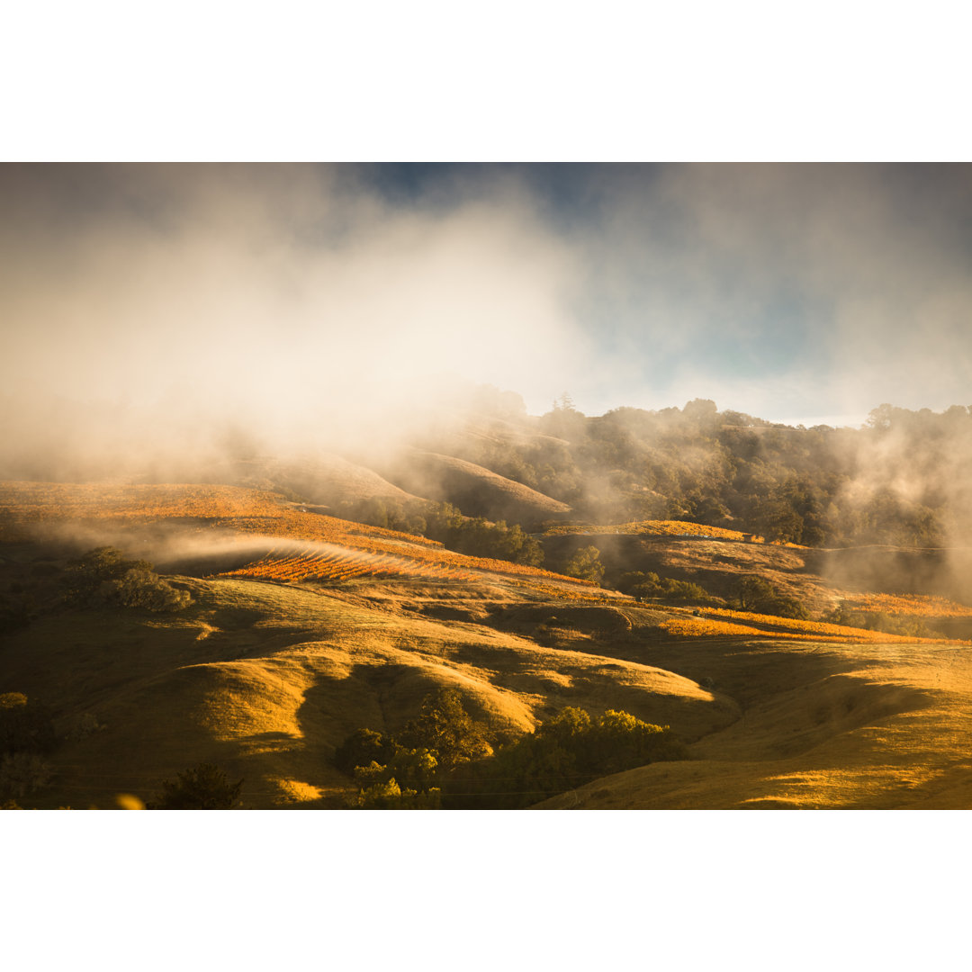 Misty Vineyard von Pgiam - Kunstdrucke auf Leinwand