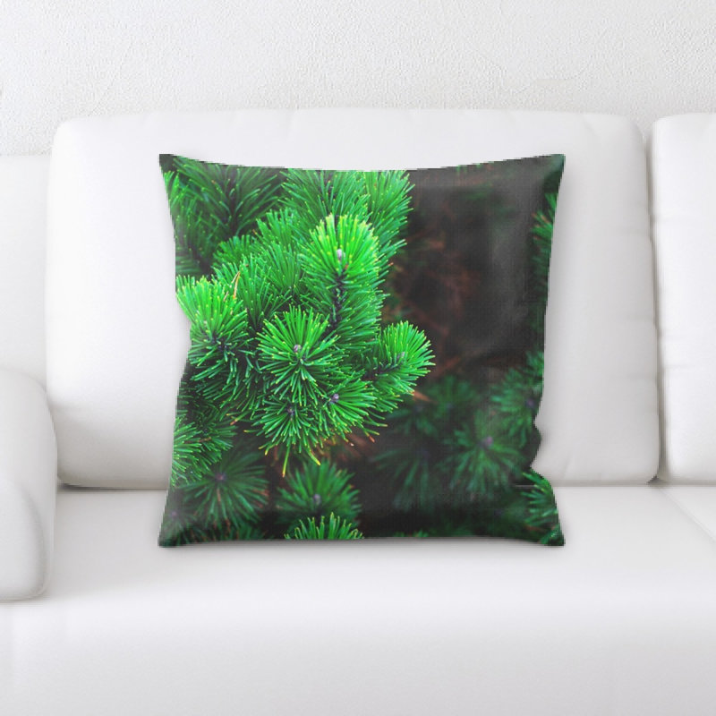 Coussin pin