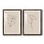Floral Contour Study III Premium encadré mat - prêt à être accroché-1014923291-1014923290
