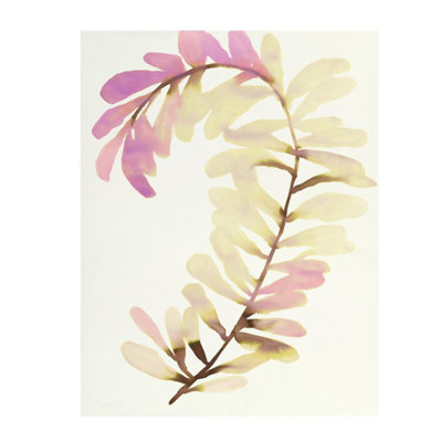 Plants VIII Print by Hable Construction