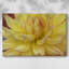 Toile tendue Blooms I-Gallery-852498184