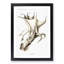 Cockeyed Squid by Carl Chun - Picture Frame Painting-57864599-57864598