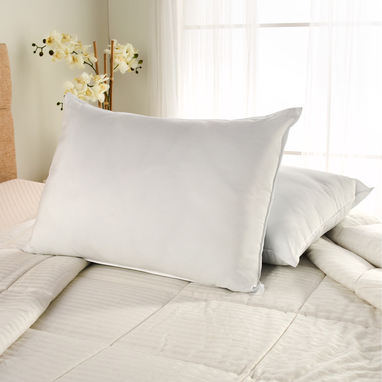 Sleep by Wayfair™ Polyester Pillow, King, Plush