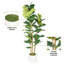 62.06 " H Faux Pothos Tree in Plastic Pot