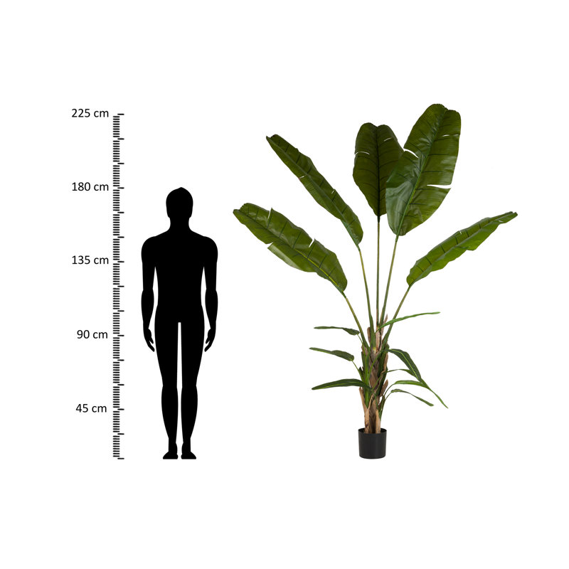 250cm Faux Banana Leaf Plant in Pot