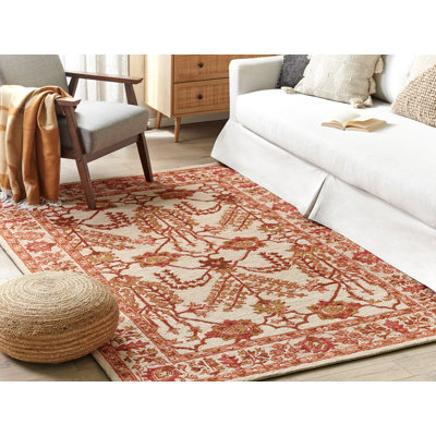 Aldyn Oriental Wool Hand Woven Area Rug