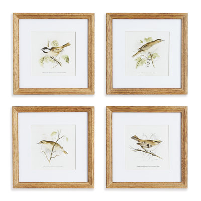 Perching Bird Set