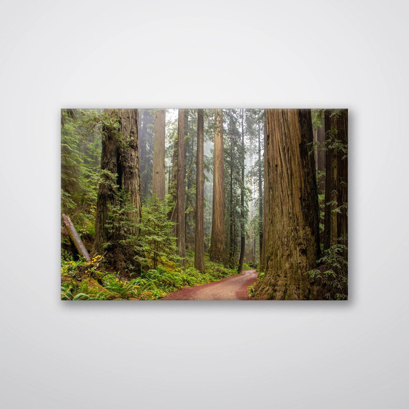 Reproduction de forêt de séquoia, affiche de nature - grands arbres de la Californie, impression de paysage de bois de séquoia géant, impression de paysage de séquoia géant - chalet rustique, art mural forêt minimaliste - cadeau inspiré de la natu