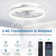 Ceiling Fan with LED Lights