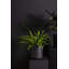 Parsons Handmade Ceramic Pot Planter-149358870-149359085