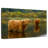 Brampt Bathing Highland Cow-108818109