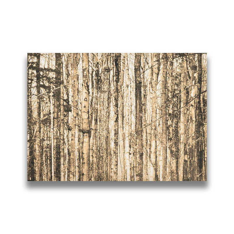 «Bare Trees» par Hal Halli. Impression sur papier - Montée et encadrée avec de l'acrylique transparent, H 34 po x l 44 po
