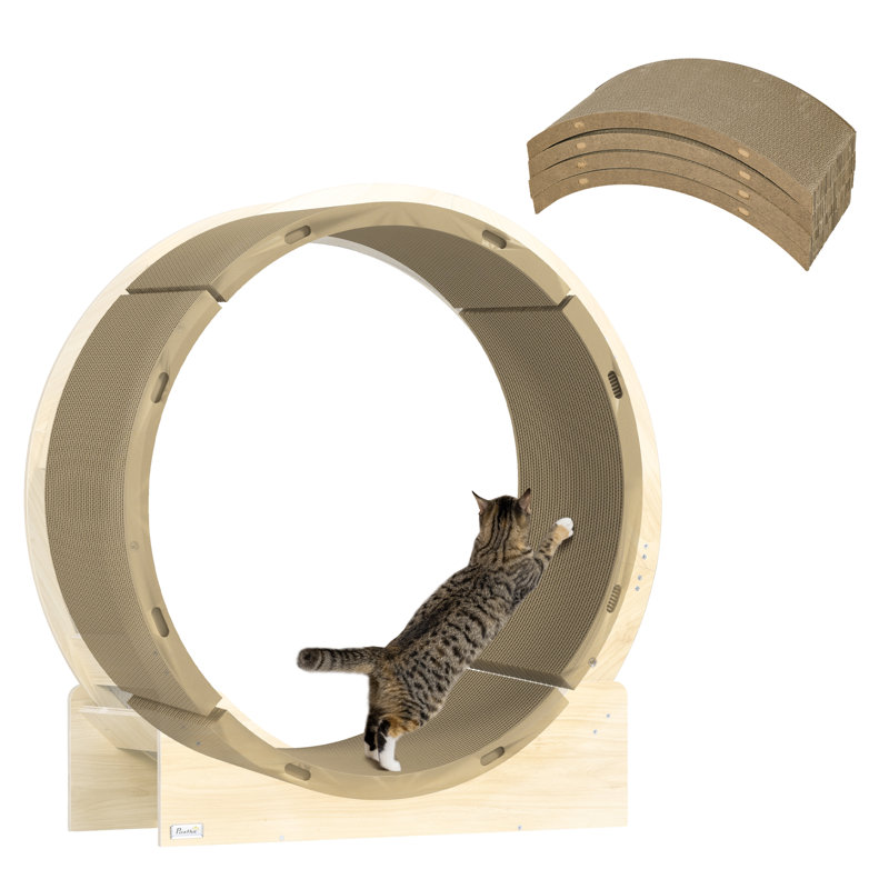 Scratching Post