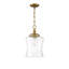 Pinedale 1 - Light Single Bell Pendant in Natural Brass-1390480727