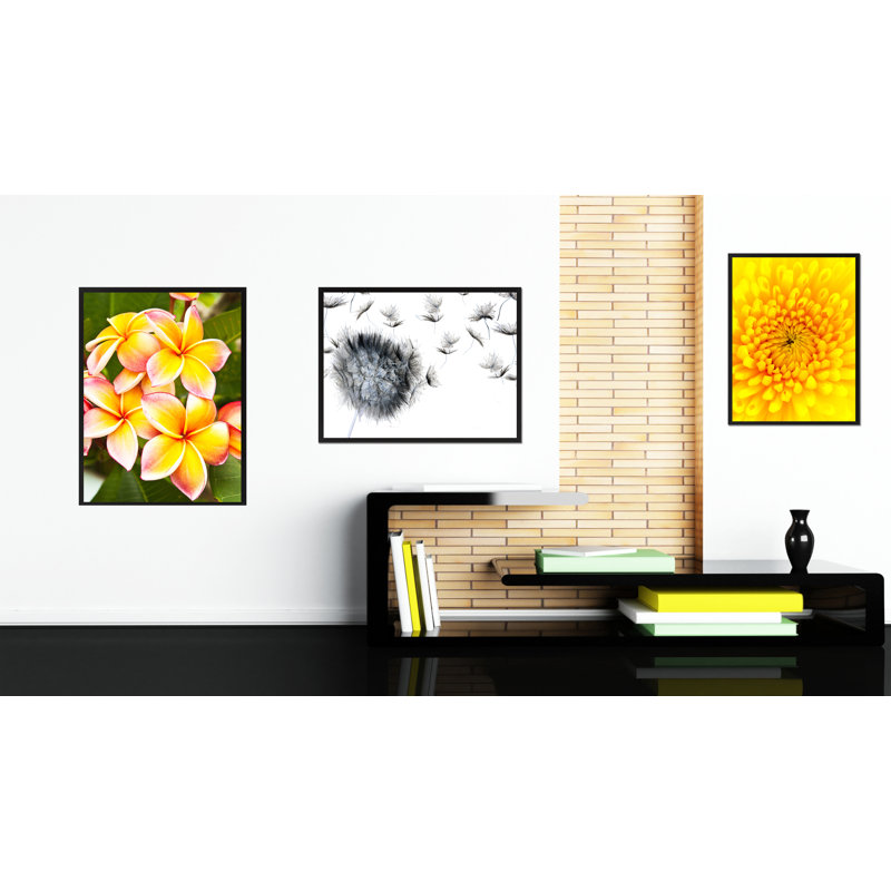 Plumeria, reproduction sur toile avec cadre photo, 22 x 29