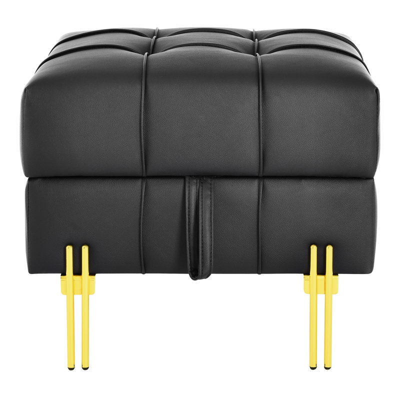 Rangement en cuir Scratch pour animal de compagnie - entrée noire - 22 po, banc en acier inoxydable doré noir, Noir