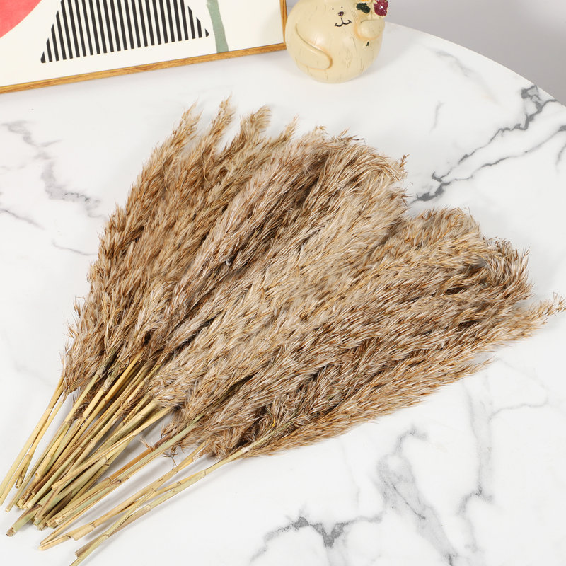 17 " H Faux Pampas Grass