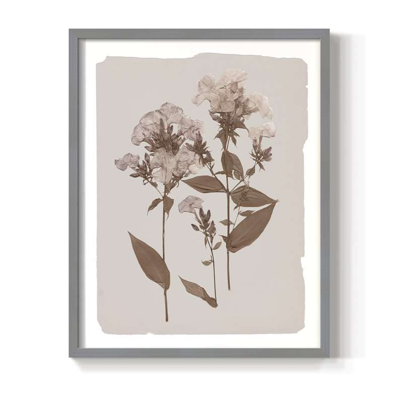 Impression encadrée monochrome Botanical II - bois massif, Gris, H 30 po x l 24 po