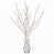 White (Warm White)