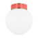 Monroe 1 - Light Flush Mount