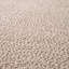 Schillinger Area Rug in Ivory-128091219