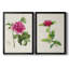 «Pretty Pink Botanicals I», ensemble de 2 reproductions d'art sur toile encadrées-107163663-107163660