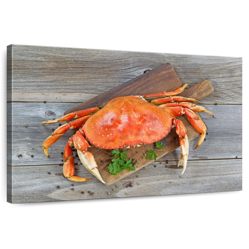 Crabe dormeur cuit Yarlin, H 8 po x l 12 po