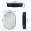 Miroir pour armoire à pharmacie Dimitria 21 W 31 H