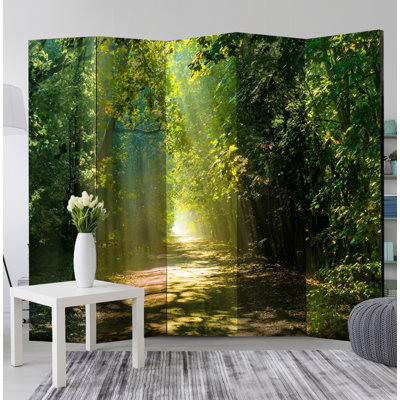 172cm H Solid Wood Folding Room Divider