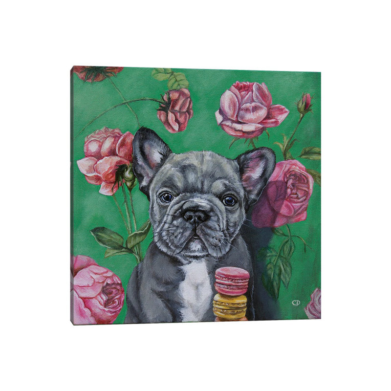 Frenchie, H 12 po x l 12 po x P 0,75 po