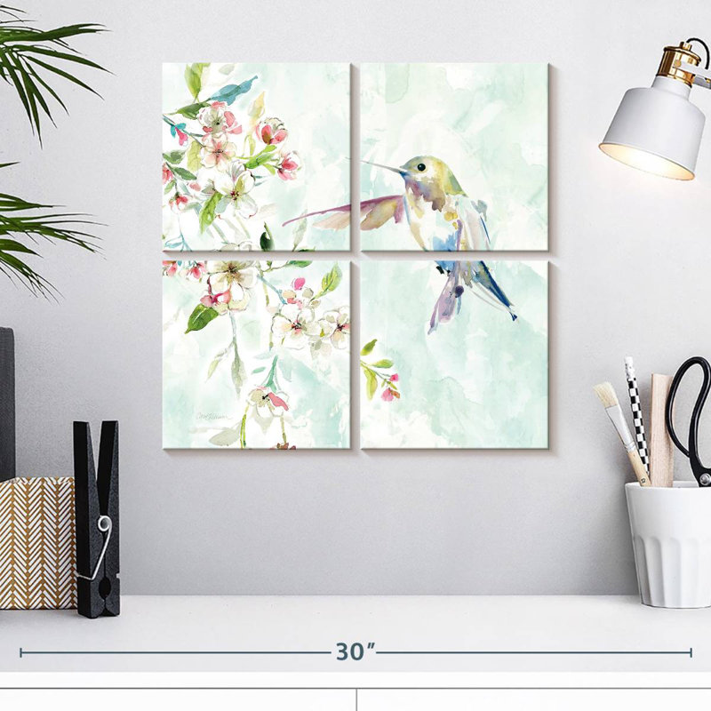 Colibri délicat Brampt IV