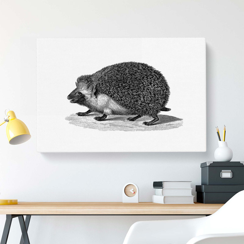 Hedgehog Illustration - Wrapped Canvas, 40cm H x 60cm W x 3cm D