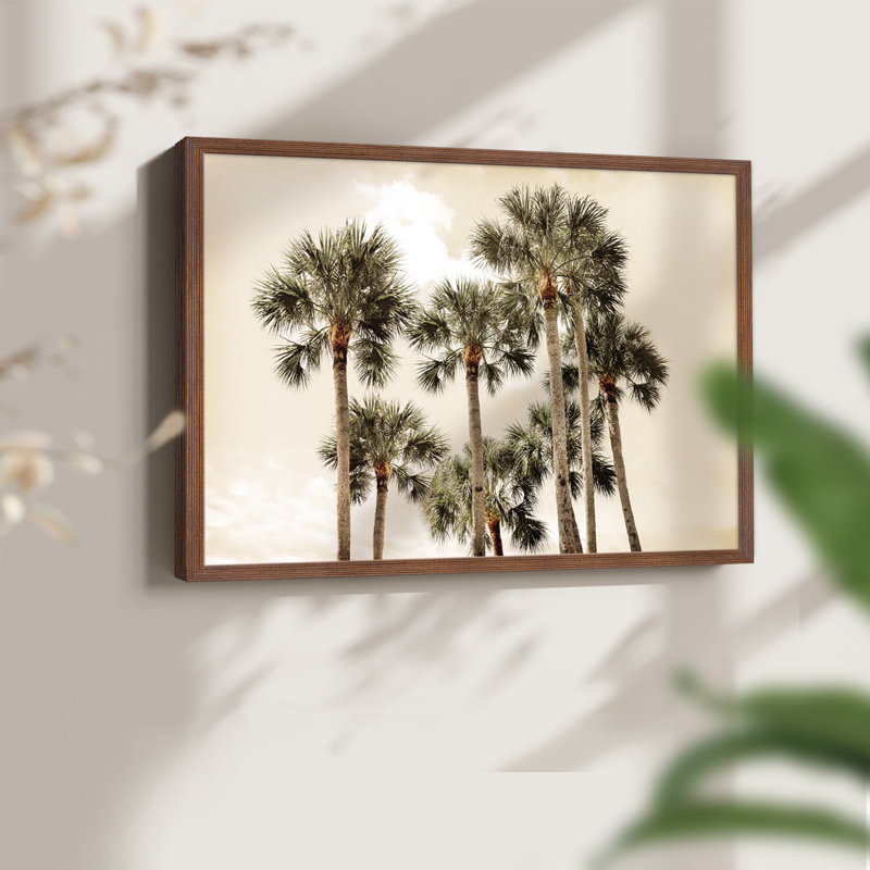 Blush Palms - reproduction encadrée - réarmable, H 16 po x l 20 po, Noyer