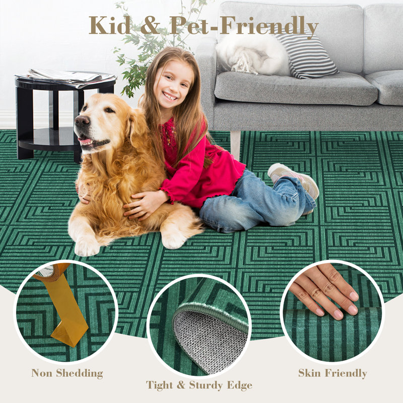 Area Rugs for Living Room Washable Rugs Modern Non Slip Area Rug for Bedroom Farmhouse Stain Resistant Carpet for Office Dining Room