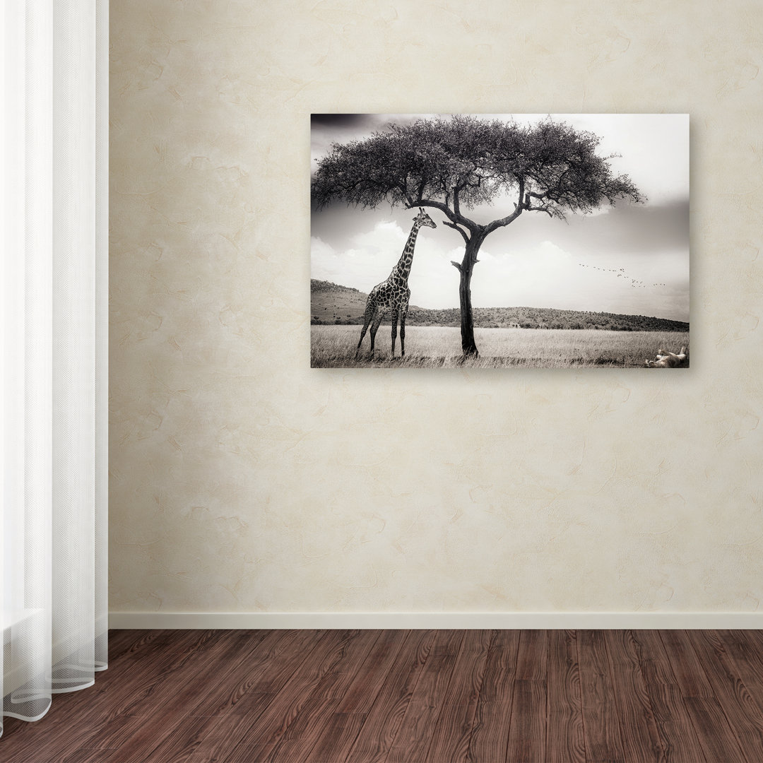 Modern & Contemporary Ebern Designs