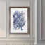 «Seaweed Under Water II», reproduction sur verre encadrée-678182226-678182312