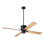 Industry Downrod Ceiling Fan