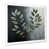 White Single Picture Framed
