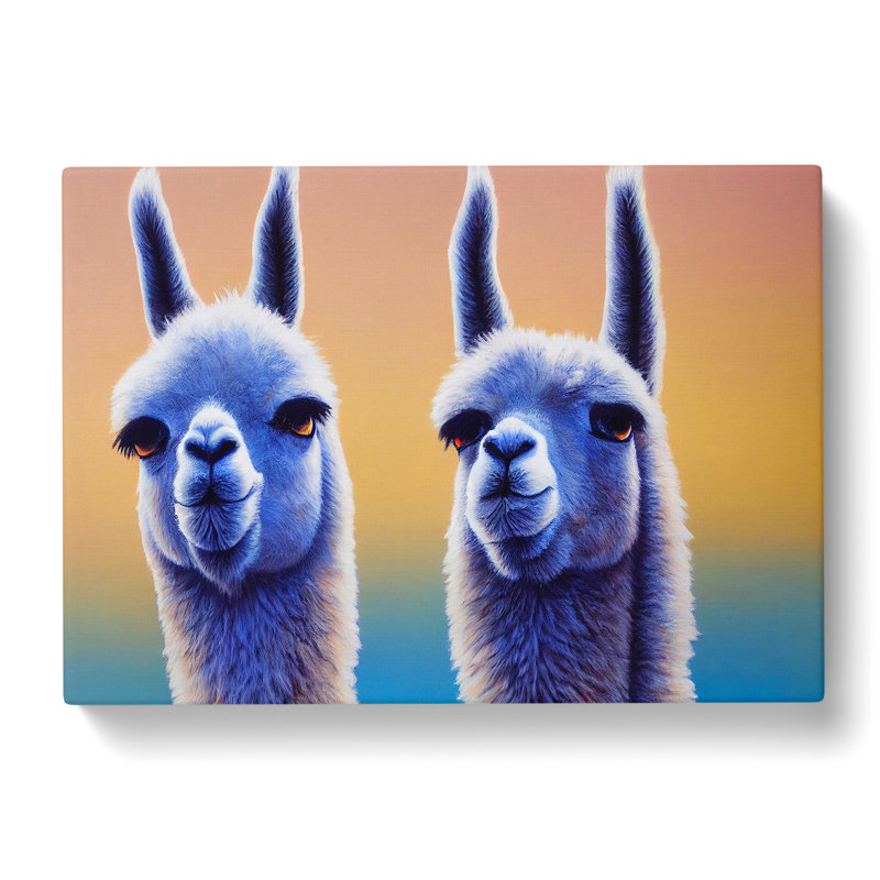 A Miraculous Llamas - Wrapped Canvas, 50cm H x 76cm W x 3cm D