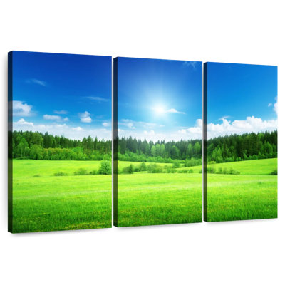Alvord Spring Green Field